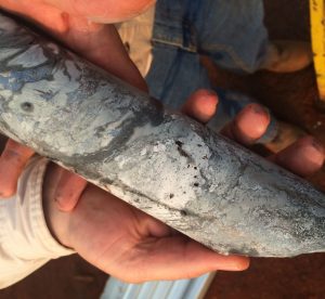 .  Massive chalcocite mineralization at a depth of 619 metres in hole DD1041.