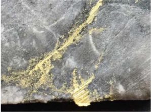 Visible gold in core from the Lynx zone at the Windfall Lake project in Quebec Credit: Osisko Mining