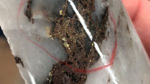 Perron drill core Credit: Amex