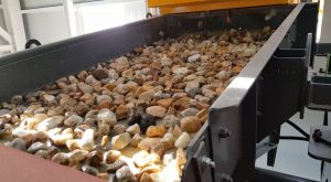 Raw material fed into the sorting process Credit: Tomra