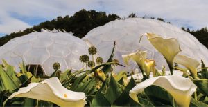 The Eden Project in the U.K., an eco-park developed in a reclaimed china clay pit, opened in 2001 Photo: Emily Barnes, IStockimages.com