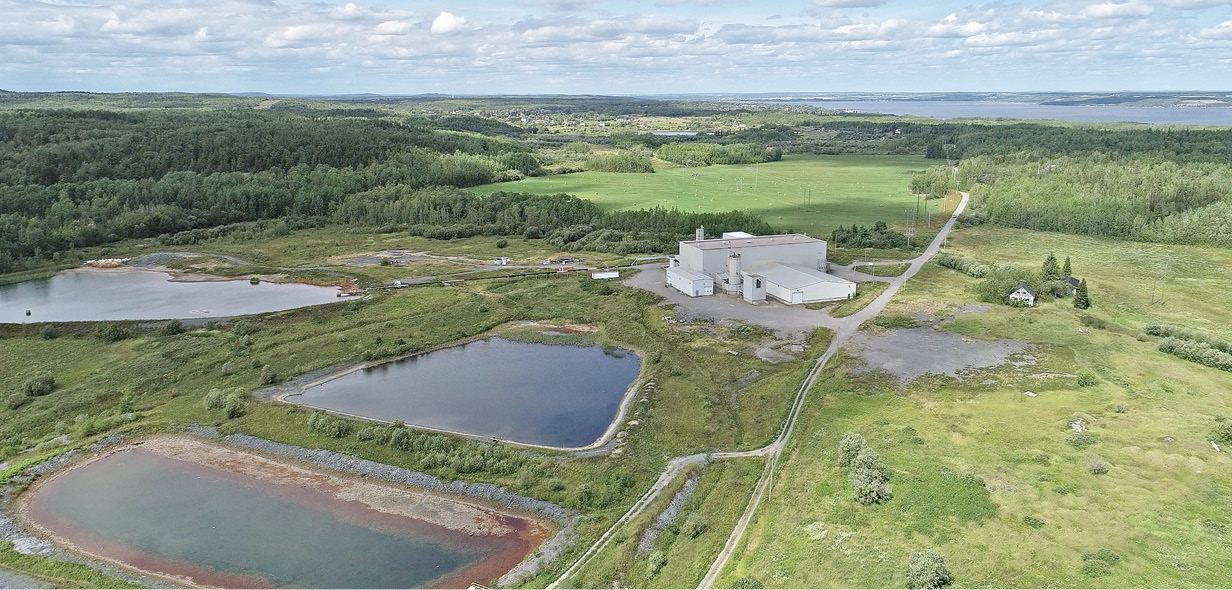 Electra aims to seize the EV moment Cobalt sulphate production in late