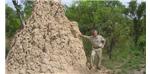 Merrex president and CEO Greg Isenor stands beside a termite hill in West Mali.