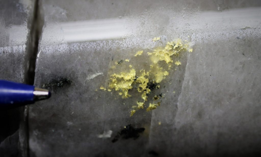 Visible gold in core from Great Bear Resources' Dixie project in Red Lake, Ont.
