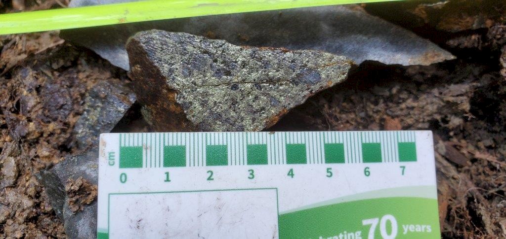 Chalcopyrite from the Main Lake showing Credit: Murchison