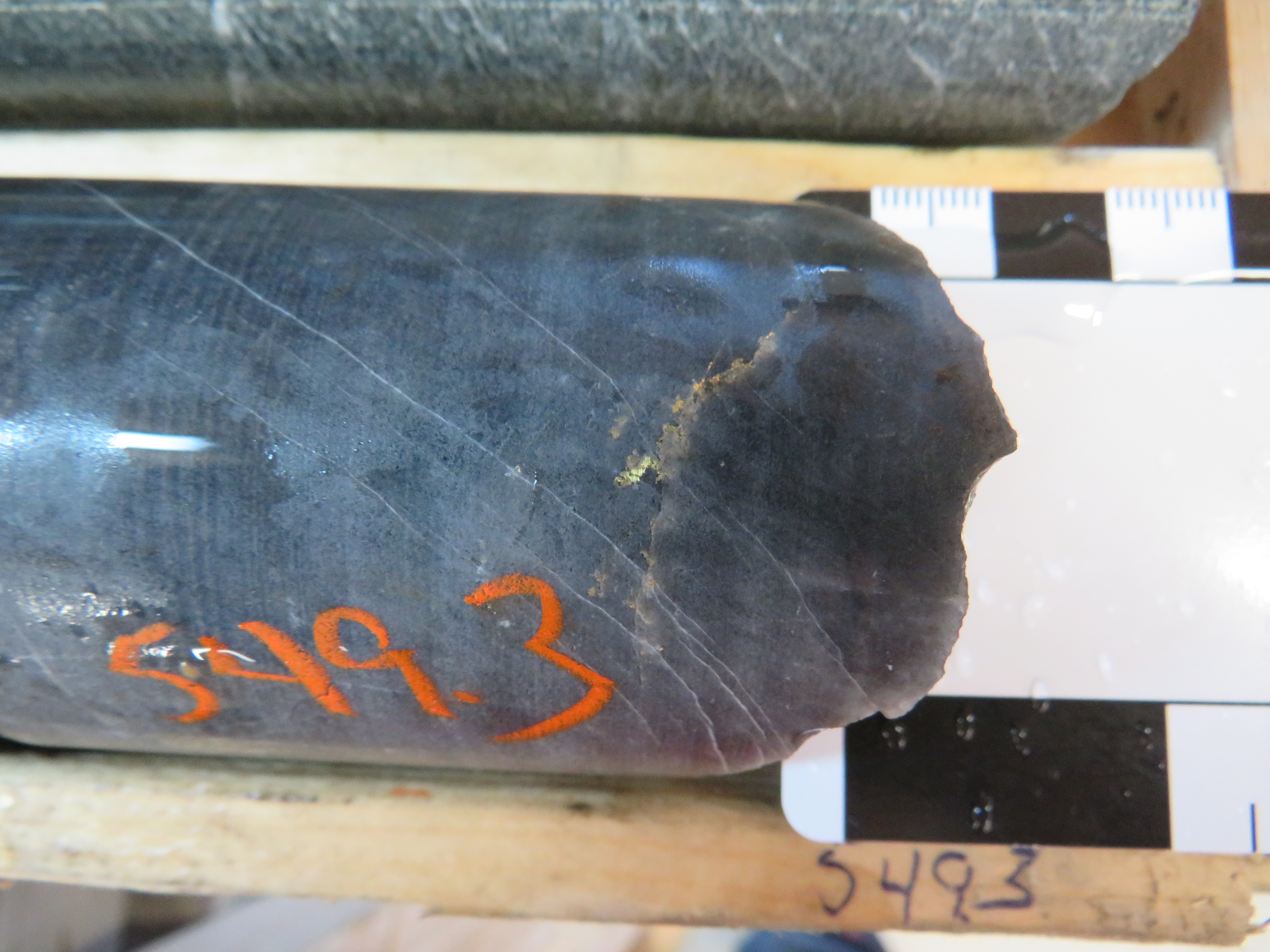 Visible gold in drill core from hole 149 at O'Brien, which returned 2 metres of 45.86 g/t gold. Radisson Resources
