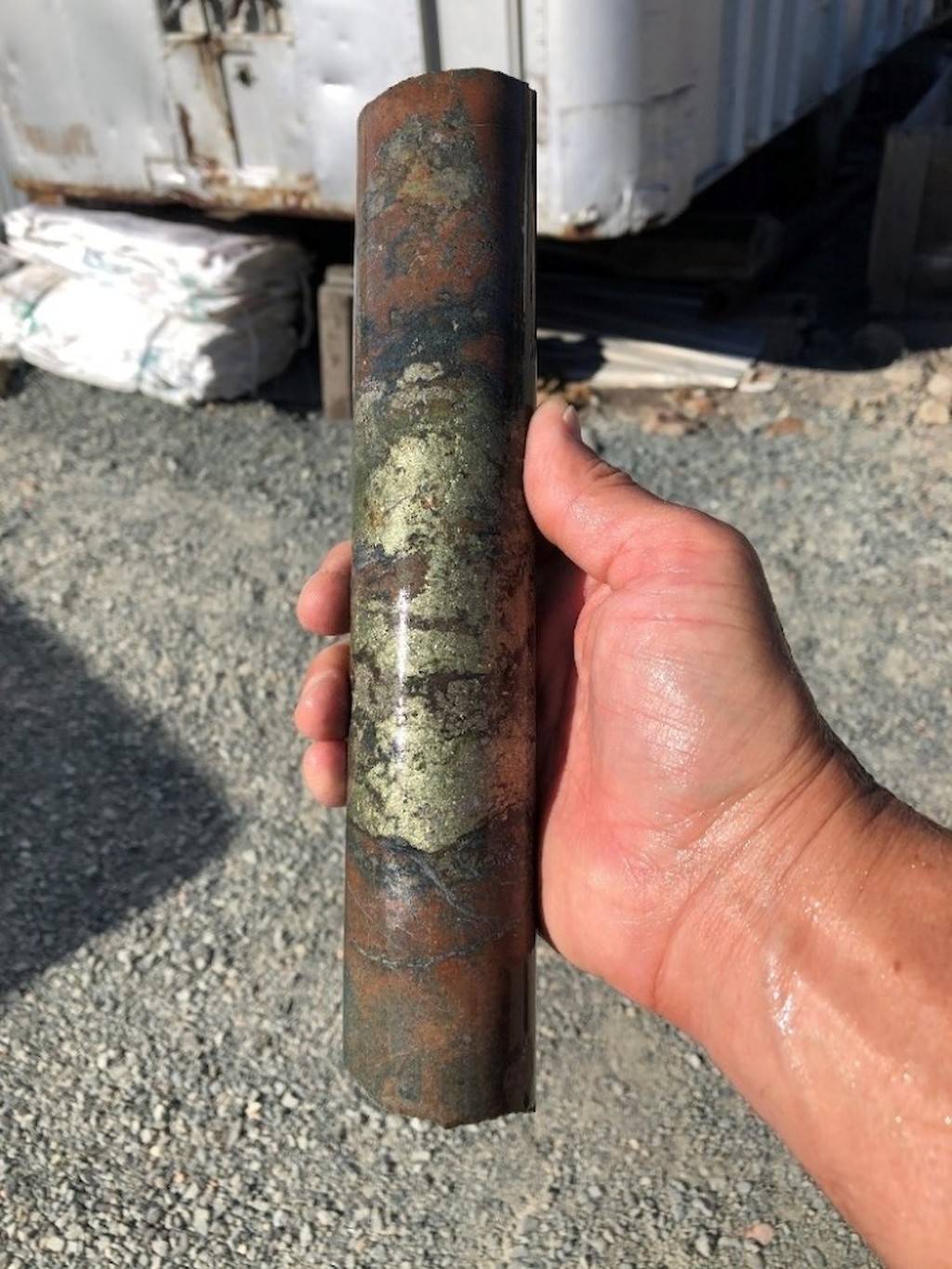 Strongly altered porphyry core with semi-massive sulphide veining from MPD Credit: Kodiak