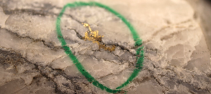 Visible gold from Queensway Credit: New Found Gold