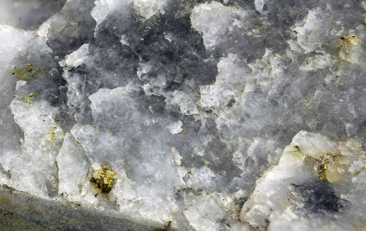 Visible gold from Newman Todd Credit: Trillium Gold Mines