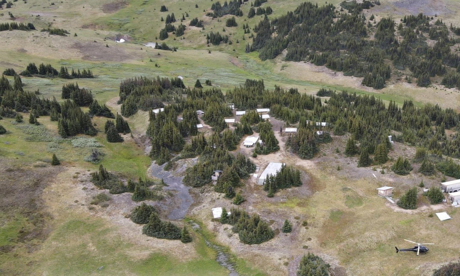 Gold report 2020 picture