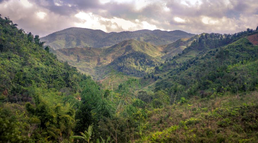 Madagascar’s Ambatovy mine on track to deliver 'no net loss' of surrounding forest