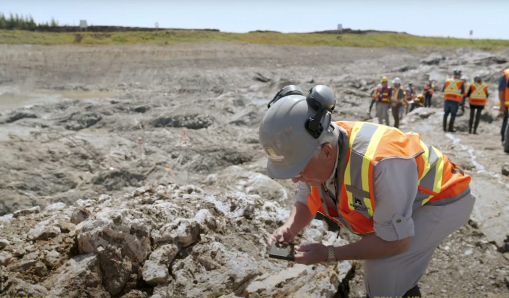 New Found Gold Investor Day 2024